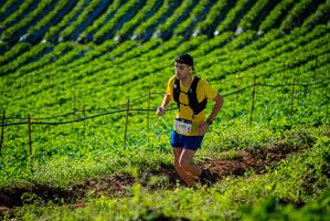 BIB: 2683
                            <button type="button" onclick="openModal(19160569)" class="btn btn-primary btn-sm float-right btn-popup" data-toggle="modal" data-target=".modal-high-quality">
                        <i class="fas fa-shopping-cart"></i> Add to Cart
                    </button>
                                            <button type="button" onclick="isThisMe(19160569, true)" class="btn btn-success btn-sm float-right btn-popup btn-isme hidden" data-toggle="tooltip" data-placement="bottom" title="นี่คือรูปของคุณใช่ไหม คลิกที่นี่เพื่อเอาเข้าอัลบั้ม">
                        <i class="fas fa-plus"></i> Add to album
                    </button>
                    <button type="button" onclick="isThisMe(19160569, false)" class="btn btn-warning btn-sm float-right btn-popup btn-isnotme hidden">
                        <i class="fas fa-ban"></i> Remove from album
                    </button>